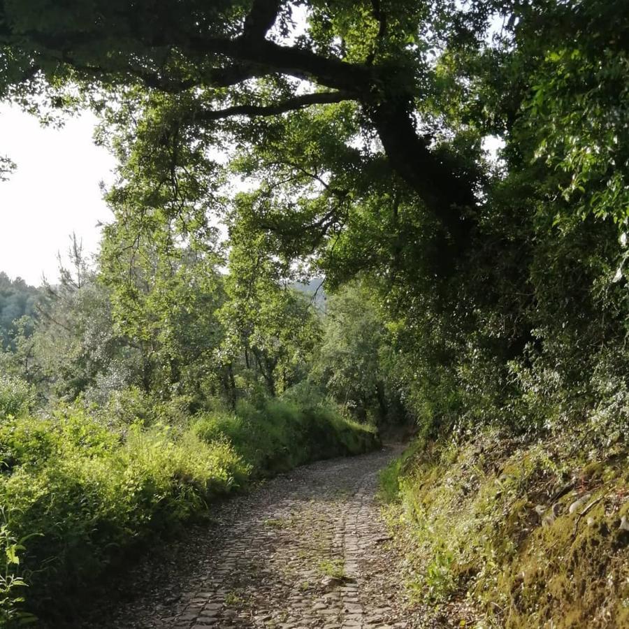 Pateo Das Rizas Eiras Exterior photo